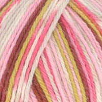 Scheepjes Arcadia Jacquard 1002 Wildfern-2