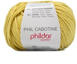 Phildar Phil Cabotine