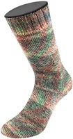 Lana Grossa Landlust Die Sockenwolle 215 Mint turquoise/light/medium grey/white/green/yellow/orange/navy/red mottled-3