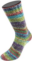 Lana Grossa Landlust Die Sockenwolle 216 Turquoise/lime green/violet/grey brown/rosewood/opal green/heather/kiwi/petrol/fir/midnight blue mottled-3