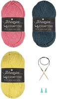 Scheepjes Beginner knitting kit Color block scarf-3