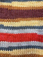 Stylecraft Merry Go Round XL 3840 Bombay Mix-3