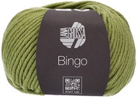 Lana Grossa Bingo 766 Light Olive