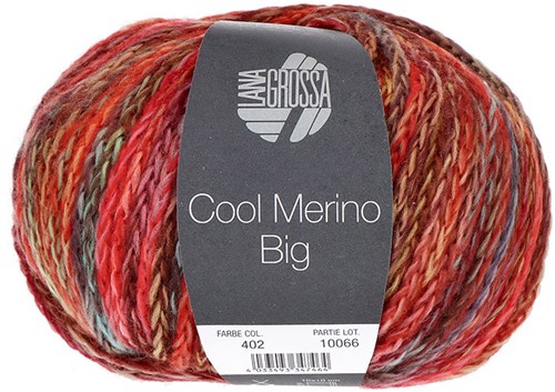 Lana Grossa Cool Merino Big Color 402 Gray-green/red/yellow/mint/brown/rosewood