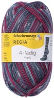 SMC Regia Sock yarn 4-ply Color 2896