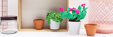 Crochet Succulents - The trend of this moment!