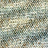 Stylecraft Impressions 5404 Water Lillies-2