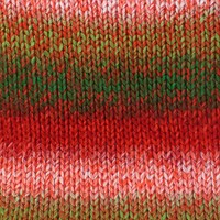 Stylecraft Wonderland Chunky 3802 Rocking Robin