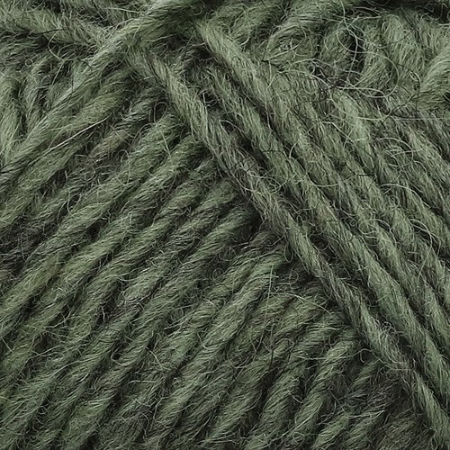 Lopi Lettlopi 9421-2