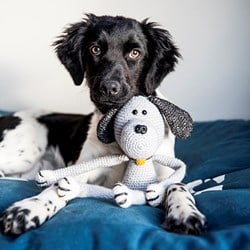 Cuddly Dog Max Crochet Kit