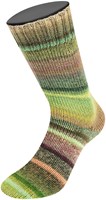Lana Grossa Meilenweit 100 Rainbow 6402 Grey-green/taupe/antique purple/khaki/camel/forest/pale/apple green/kiwi/light olive/mint turquoise-3