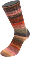 Lana Grossa Meilenweit 100 Rainbow 6404 Rust/nougat/grey/forest green/olive/orange/grey/black-green/grey-violet/raspberry-3
