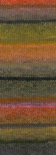 Lana Grossa Meilenweit 100 Rainbow 6404 Rust/nougat/grey/forest green/olive/orange/grey/black-green/grey-violet/raspberry-2