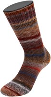 Lana Grossa Meilenweit 100 Rainbow 6406 Nut brown/grey/blue/dark grey/ochre/khaki/forest green/burgundy/anthracite-3