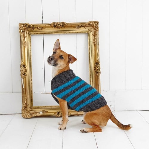Knitting Pattern Stylecraft Life Chunky No. 9179 Dog Coat