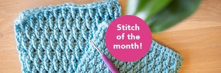 Stitch of the Month – Crochet Alpine Stitch