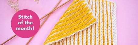 Stitch of the Month – Knit Two-Color Brioche Stitch