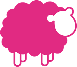Wool