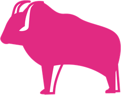 Yak