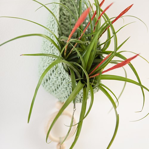 Home-Deco Plant Hanger Crochet Kit 5 Bohemian-3