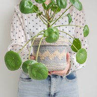 Yarn and Colors Basic Plant Baskets Crochet Kit 002 Cream-3