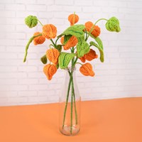 Lantern Plant Yarn Kit