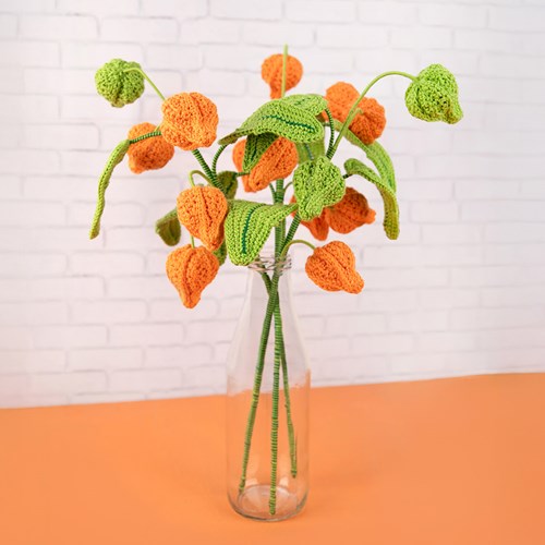 Lantern Plant Yarn Kit