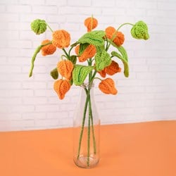 Lantern Plant Yarn and Crochet Kit