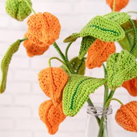 Lantern Plant Yarn Kit-2
