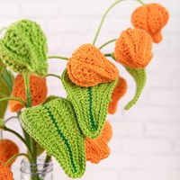 Lantern Plant Yarn Kit-3