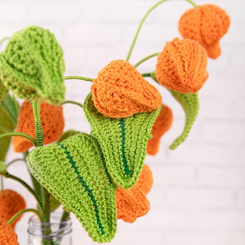 Lantern Plant Yarn Kit-3