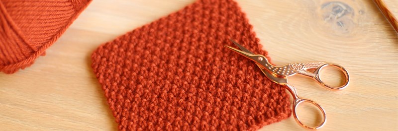 Stitch of the Month: Knit the Double Seed Stitch