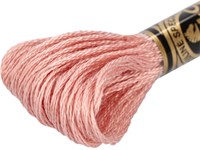 DMC 117MC Mouliné Spécial Embroidery Thread 8m 224-2