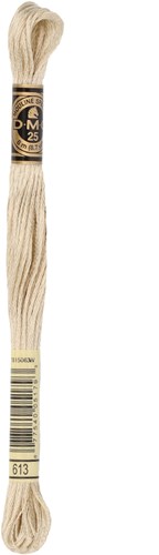 DMC 117MC Mouliné Spécial Embroidery Thread 8m 613