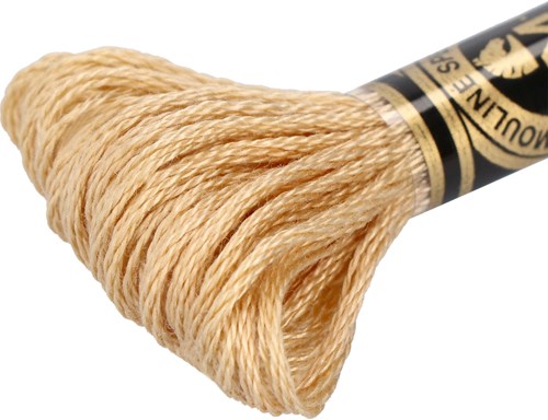 DMC 117MC Mouliné Spécial Embroidery Thread 8m 738-2