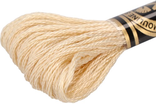 DMC 117MC Mouliné Spécial Embroidery Thread 8m 739-2