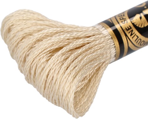 DMC 117MC Mouliné Spécial Embroidery Thread 8m 822-2