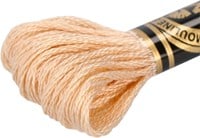 DMC 117MC Mouliné Spécial Embroidery Thread 8m 951-2