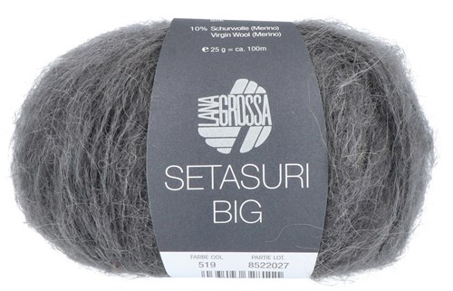 Lana Grossa Setasuri Big 519