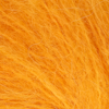 509