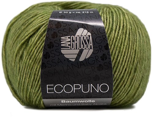 Lana Grossa Ecopuno 002 Apple Green