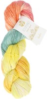 Lana Grossa Ecopuno Hand-Dyed 508 Indra