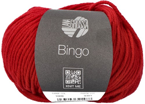 Lana Grossa Bingo Mélange 1009