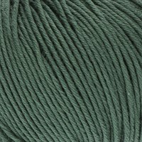 Phildar Phil Ecocoton 1099 Algue-2