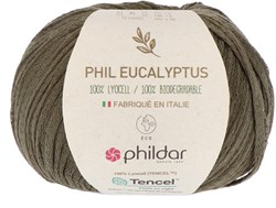 Phildar Phil Eucalyptus