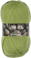 Stylecraft Life DK 2311 fern