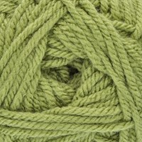 Stylecraft Special Chunky 1065 Meadow-2