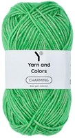 Yarn and Colors Charming 086 Peony Leaf