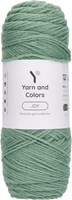 Yarn and Colors Joy 004 Birch