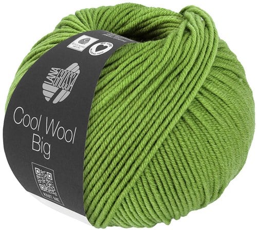 Lana Grossa Cool Wool Big 1022 White Green